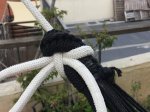 Hammock Zanzibar black M